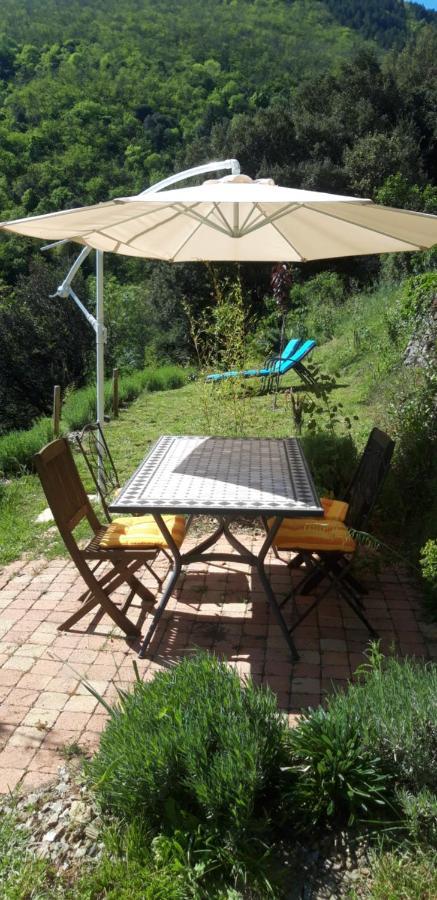 Gites Chez Daniel "Cevennes 1" Mars  エクステリア 写真