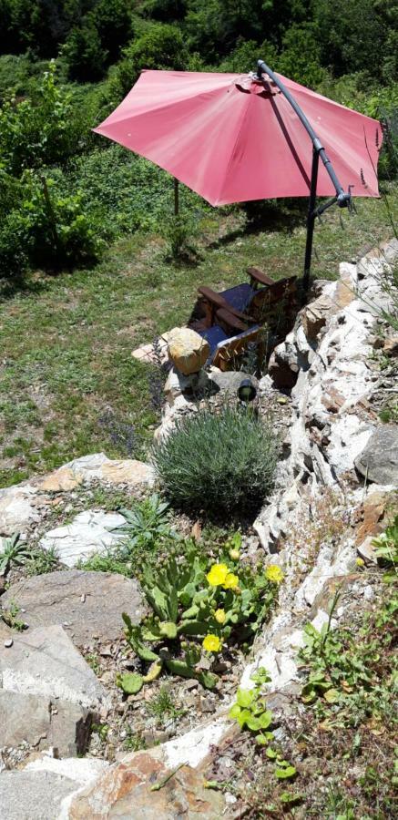 Gites Chez Daniel "Cevennes 1" Mars  エクステリア 写真