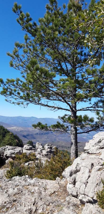 Gites Chez Daniel "Cevennes 1" Mars  エクステリア 写真